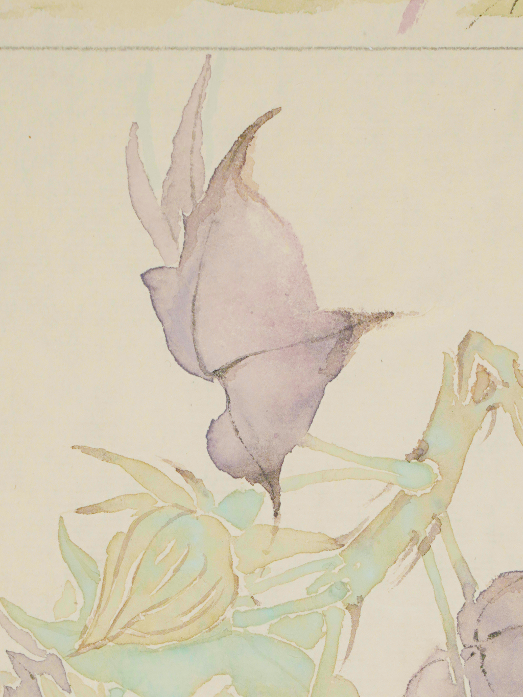 花前月下 Moonlight Mudan