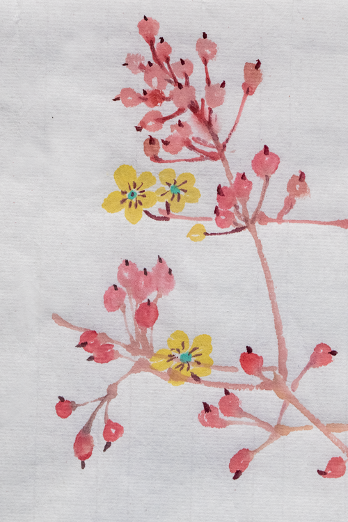 A Drop of Autumn Light