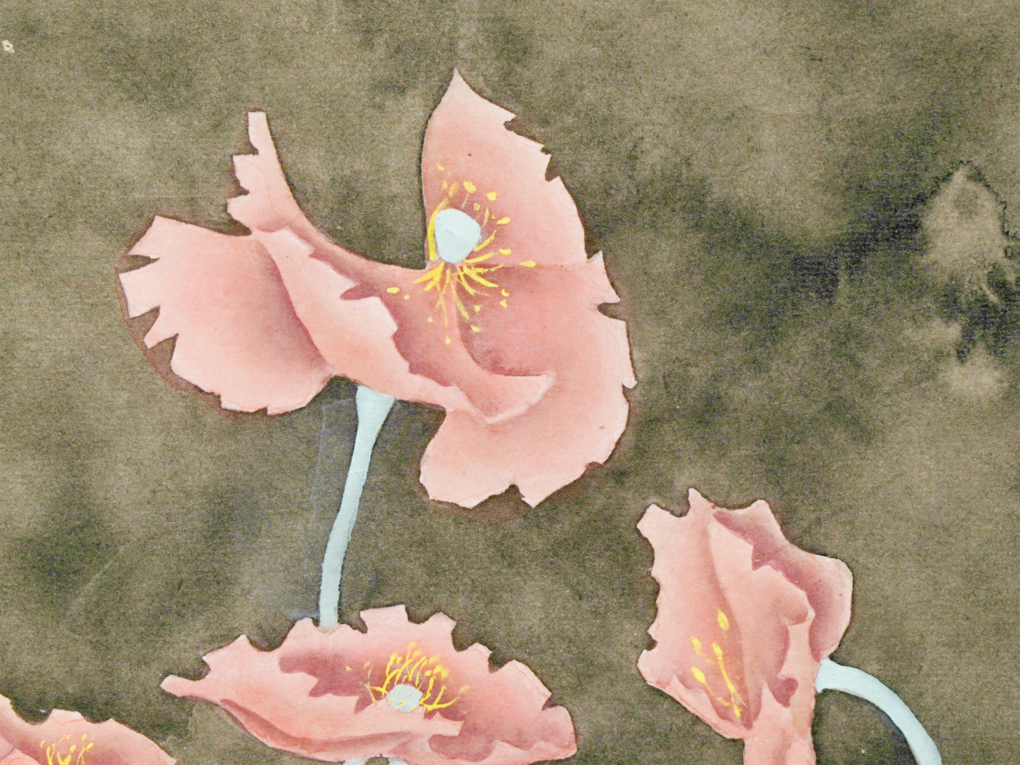 綻放 Silent Blossom