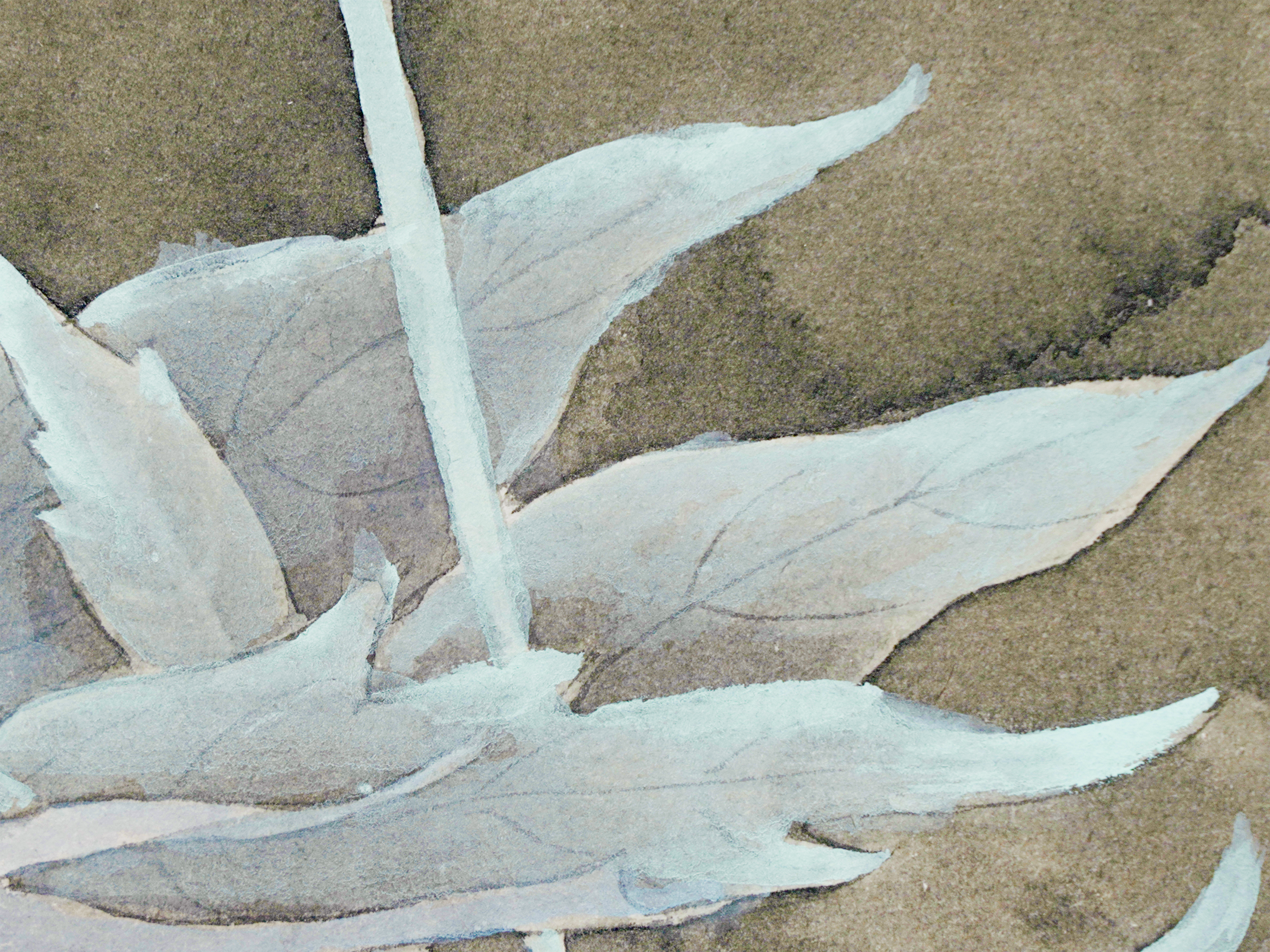 綻放 Silent Blossom