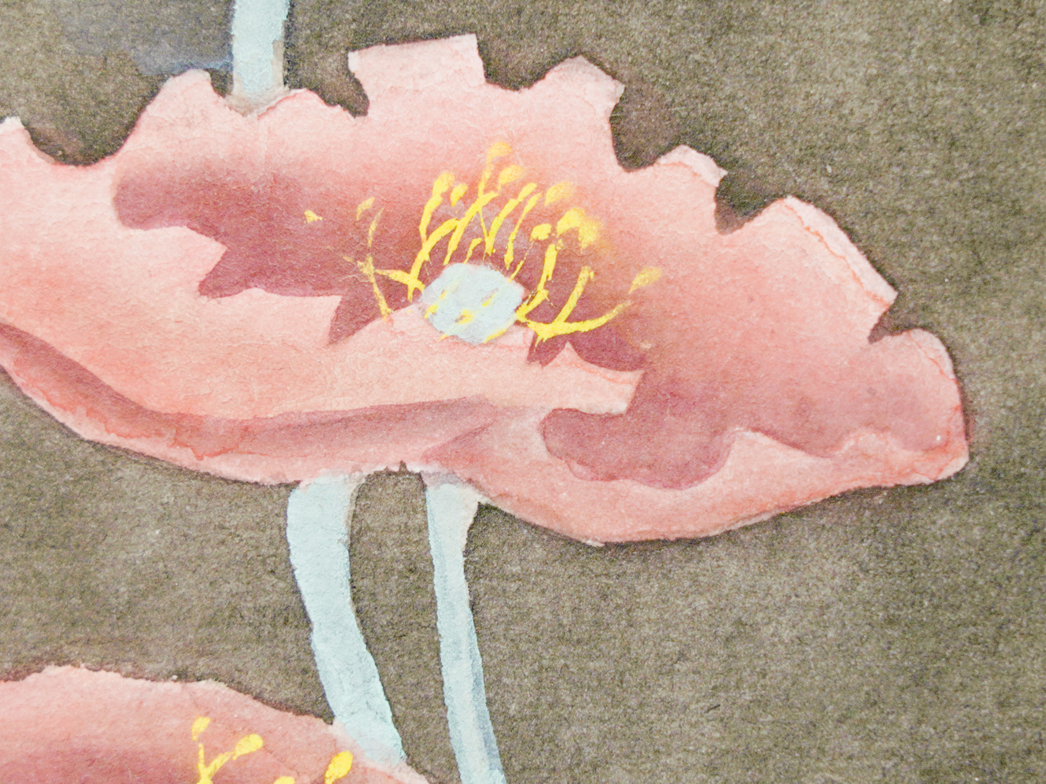 綻放 Silent Blossom