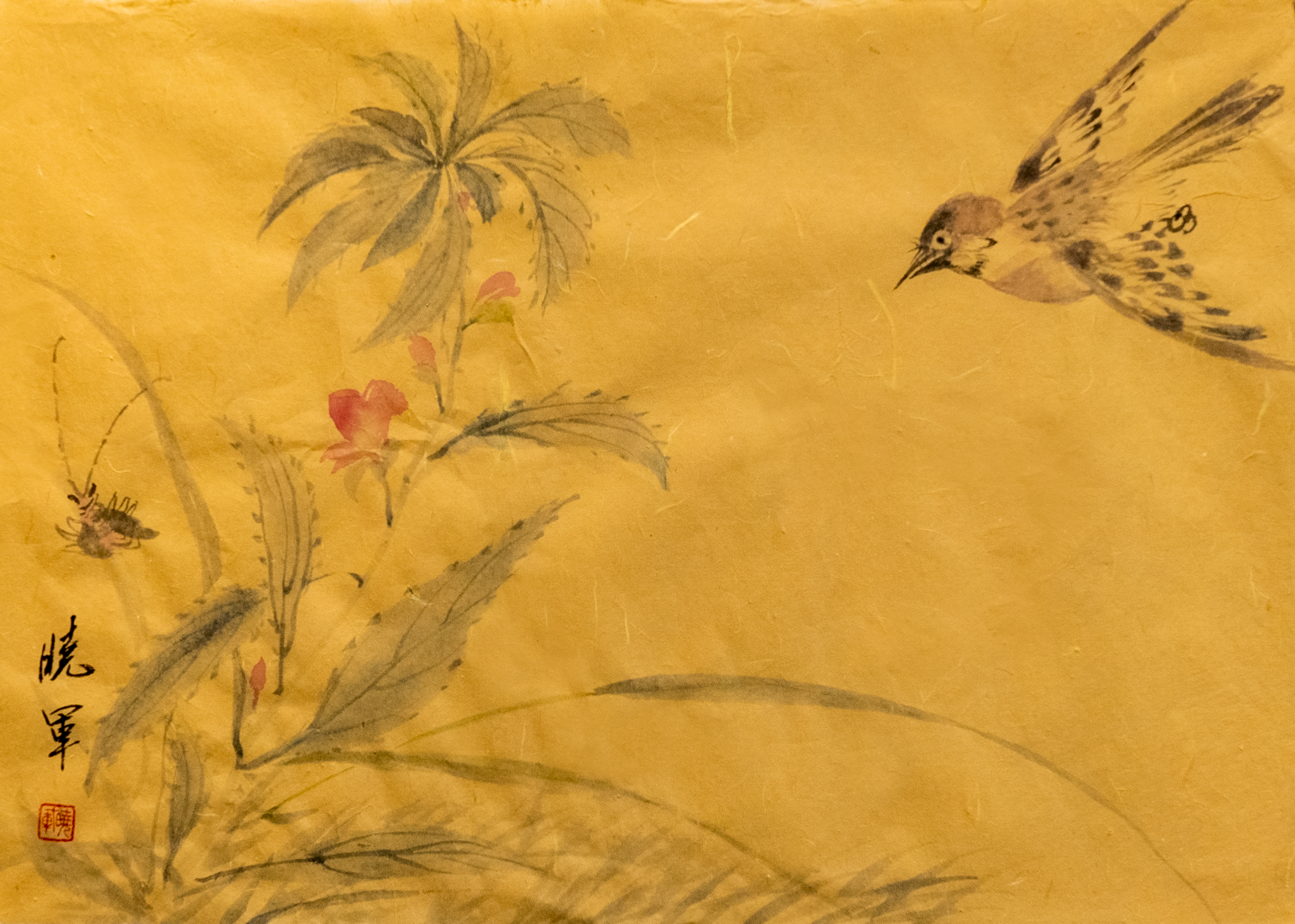 Touch of Wing and Grass