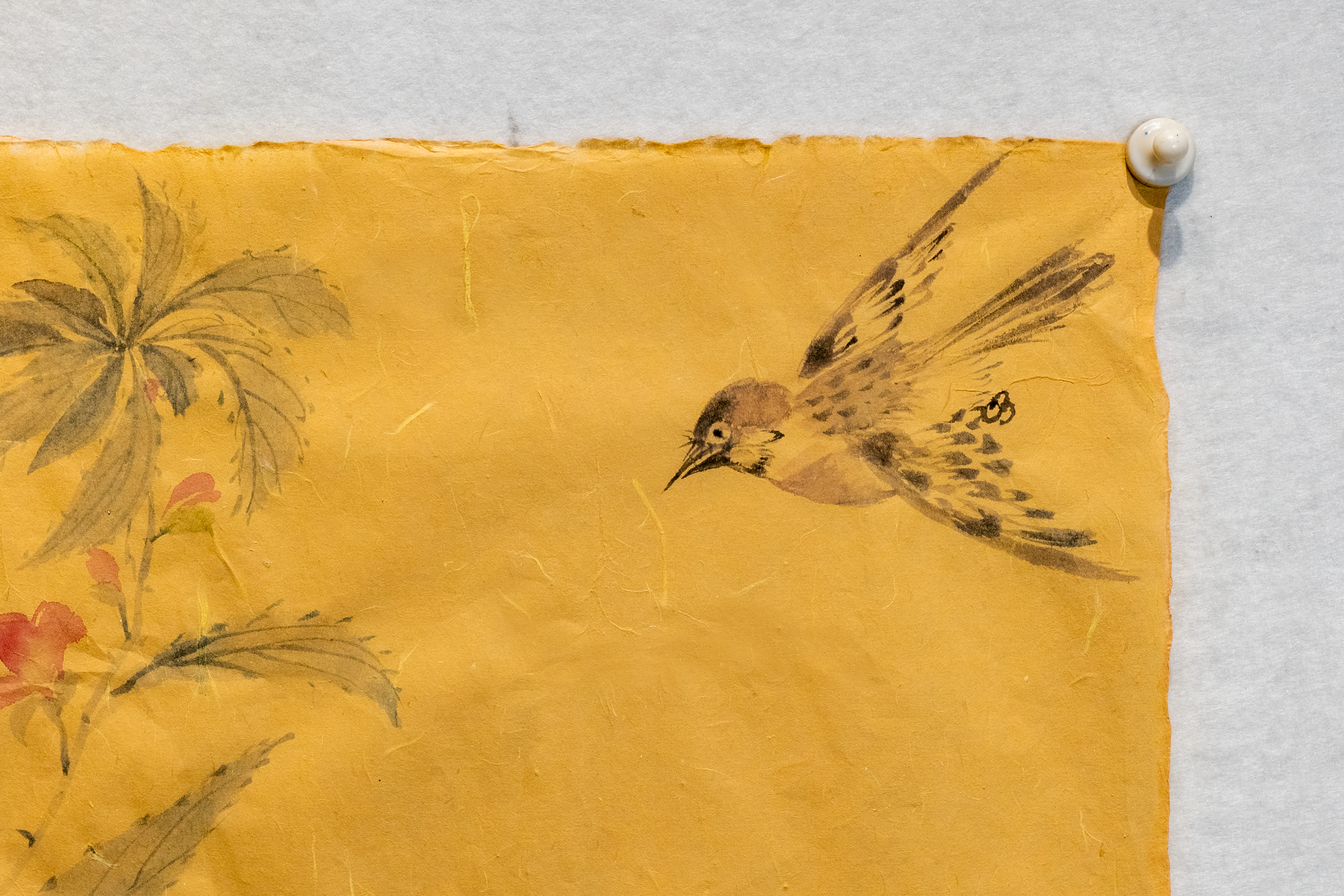 Touch of Wing and Grass