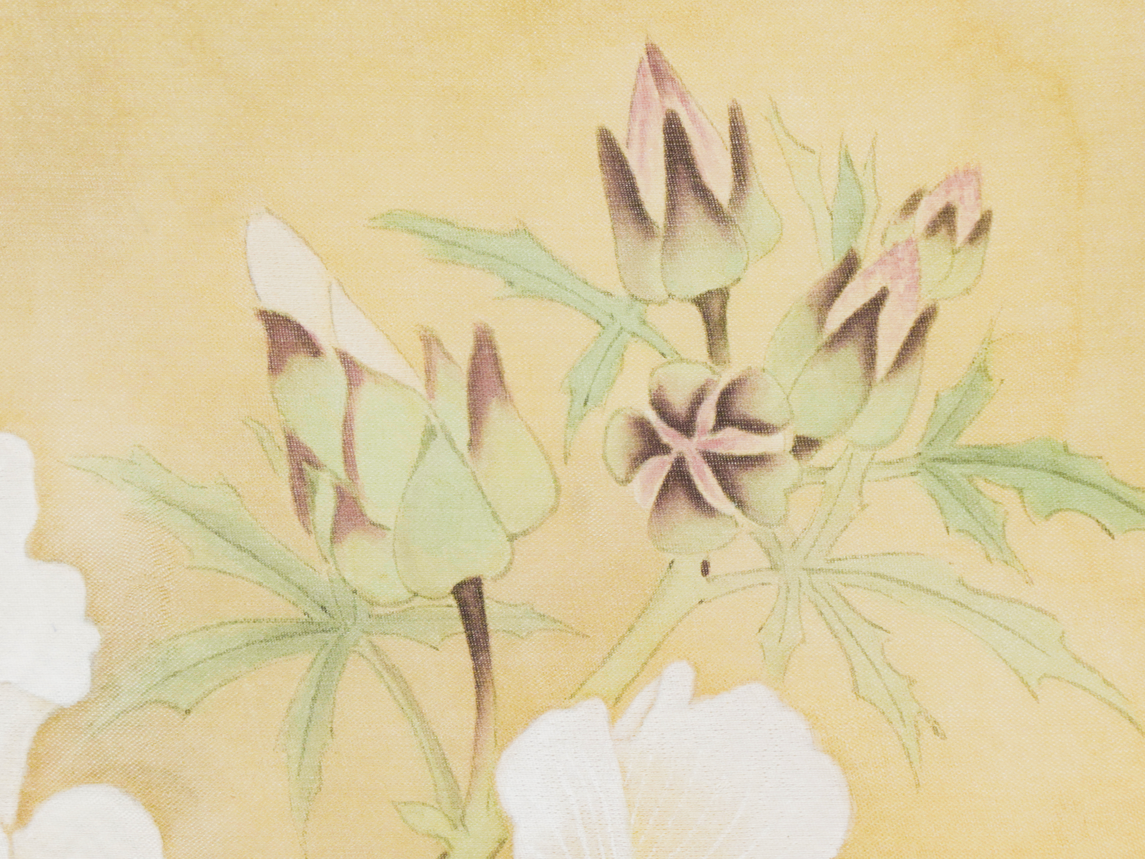 秋分帖 Autumn Equinox Okra