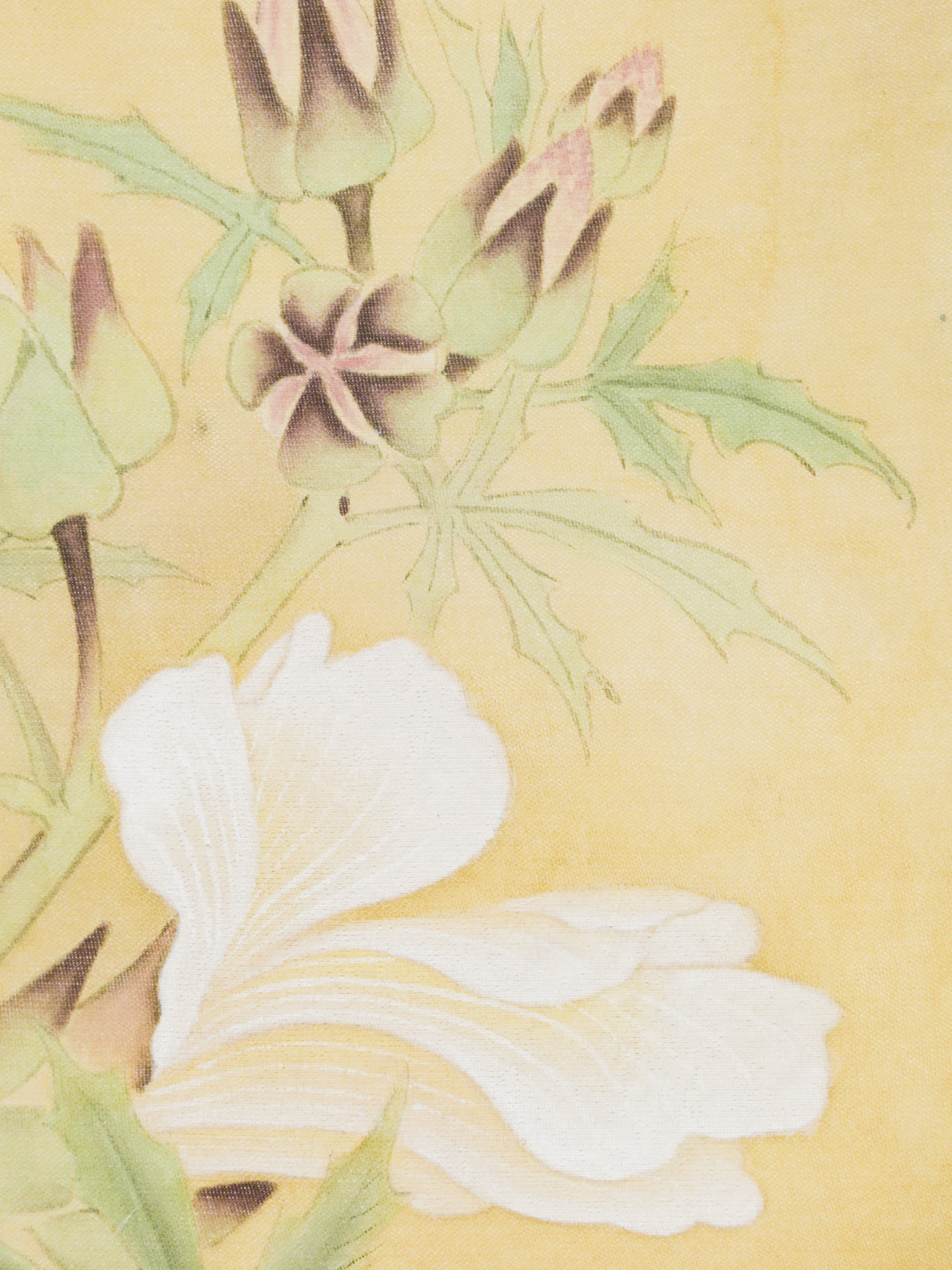 秋分帖 Autumn Equinox Okra