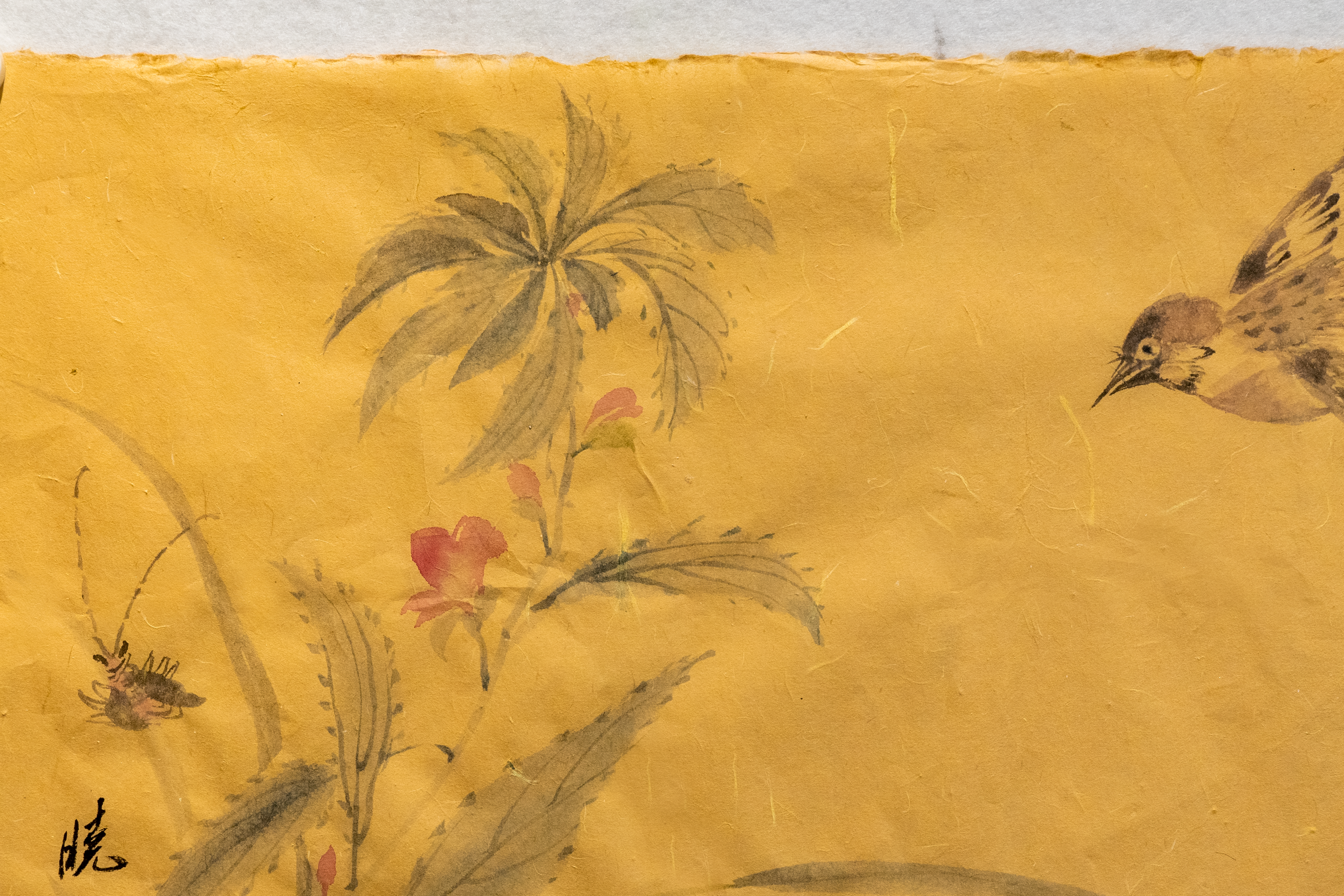 Touch of Wing and Grass