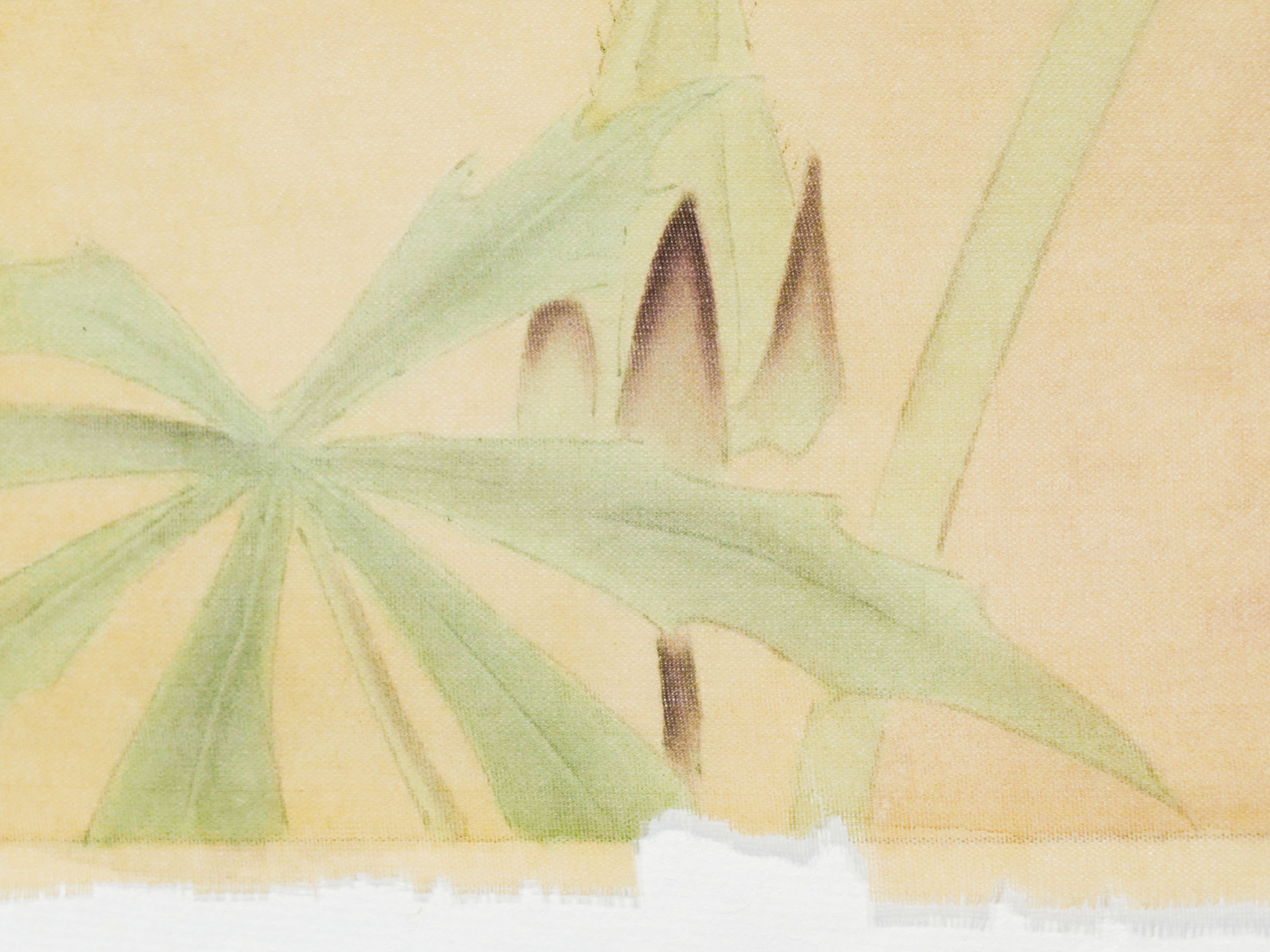 秋分帖 Autumn Equinox Okra