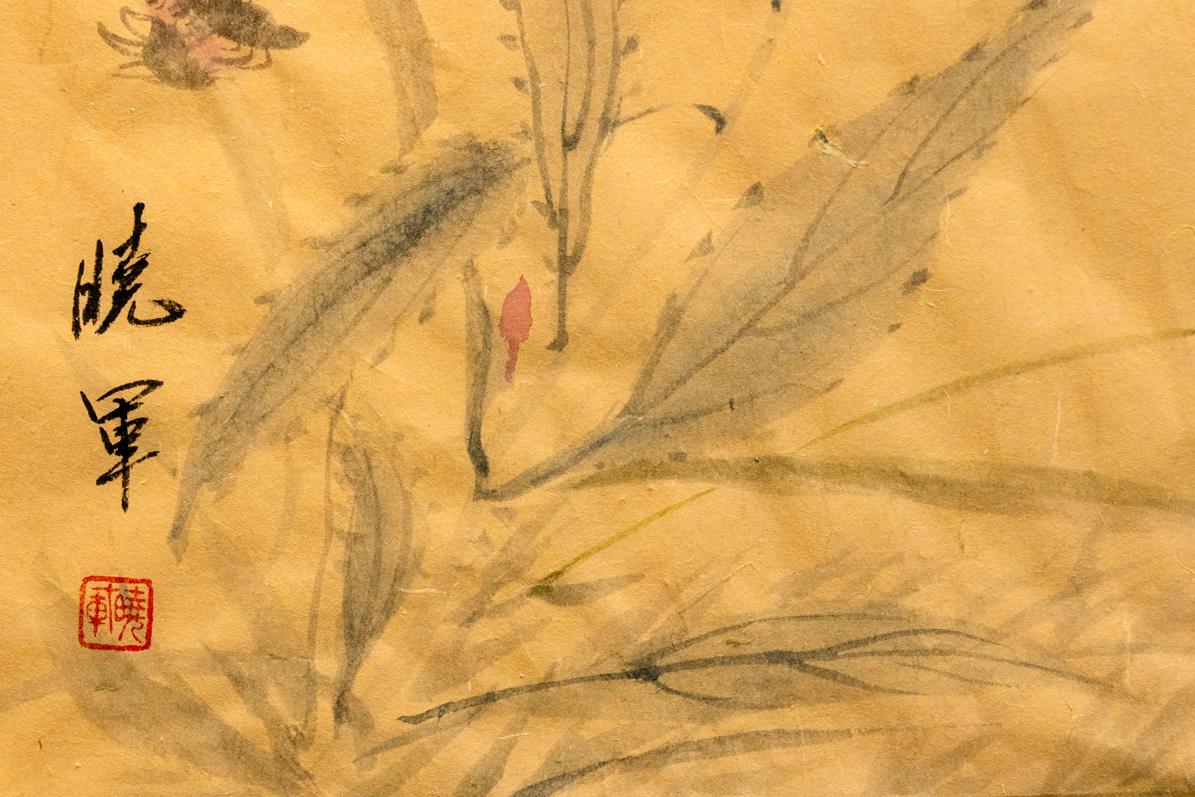 Touch of Wing and Grass