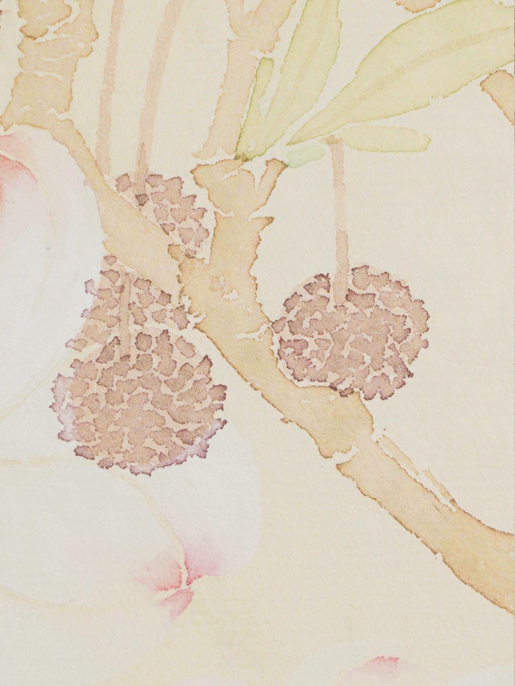 嶺南荔枝圖 Redolence of Lingnan Lychees