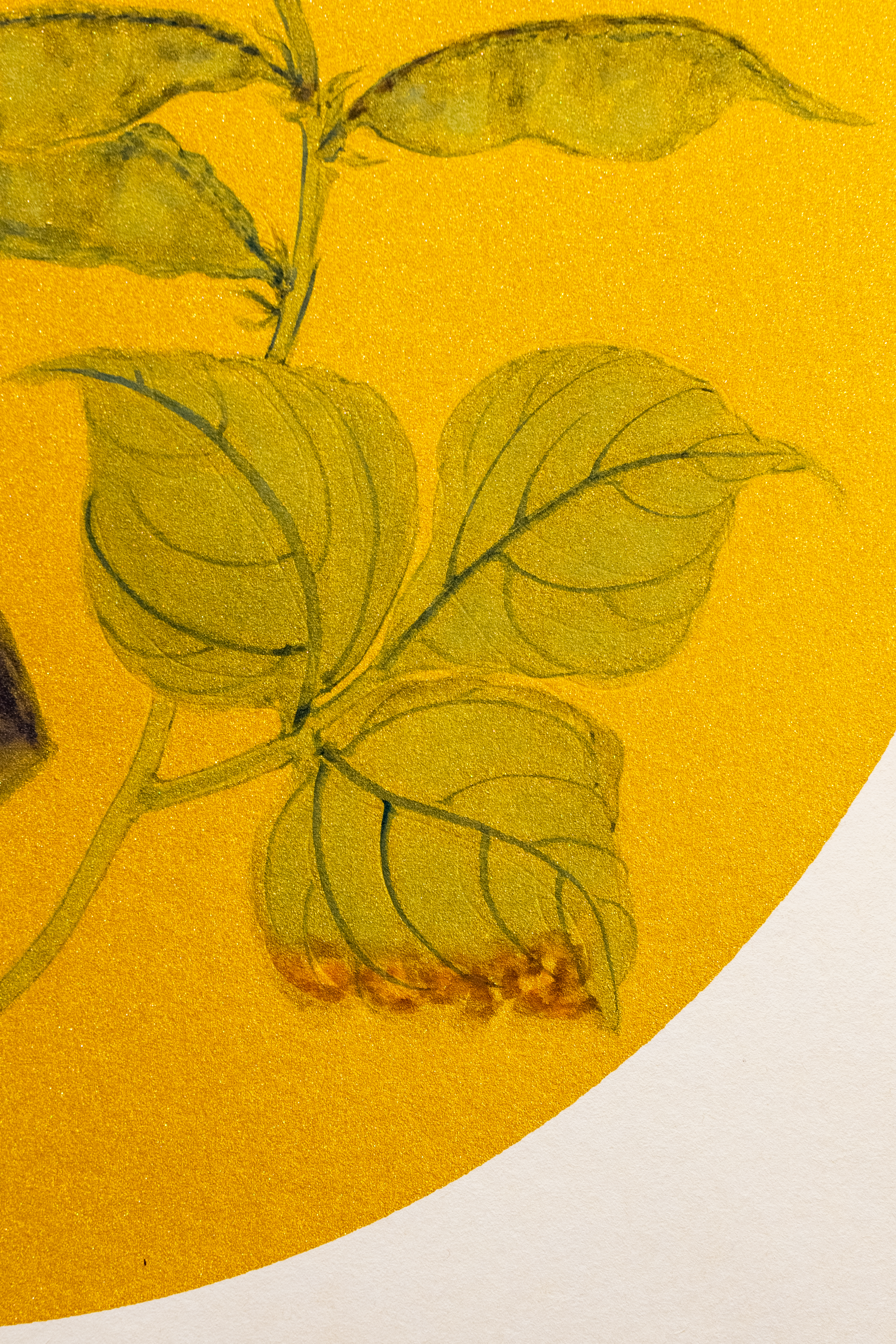 The Weight of Ripening