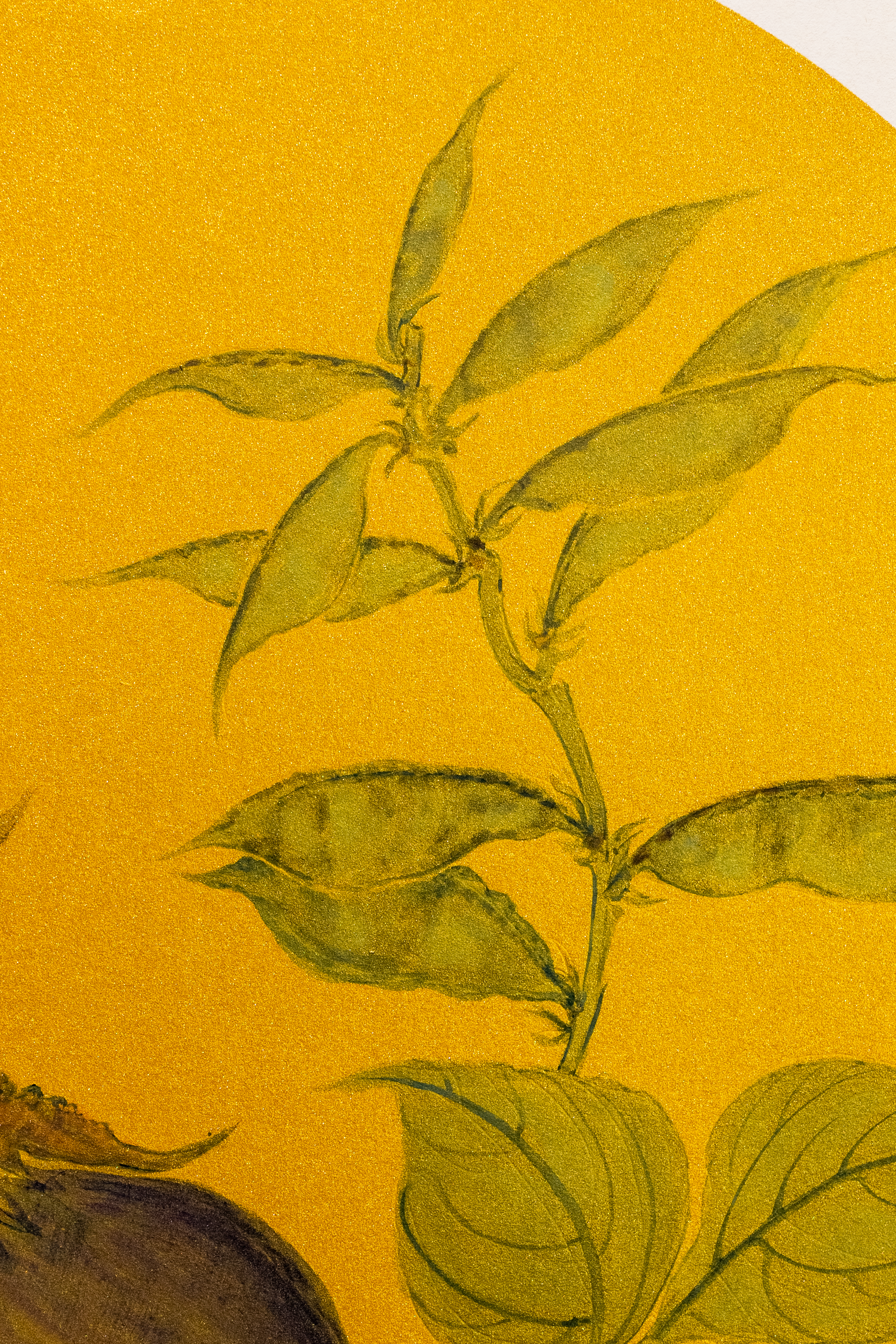 The Weight of Ripening