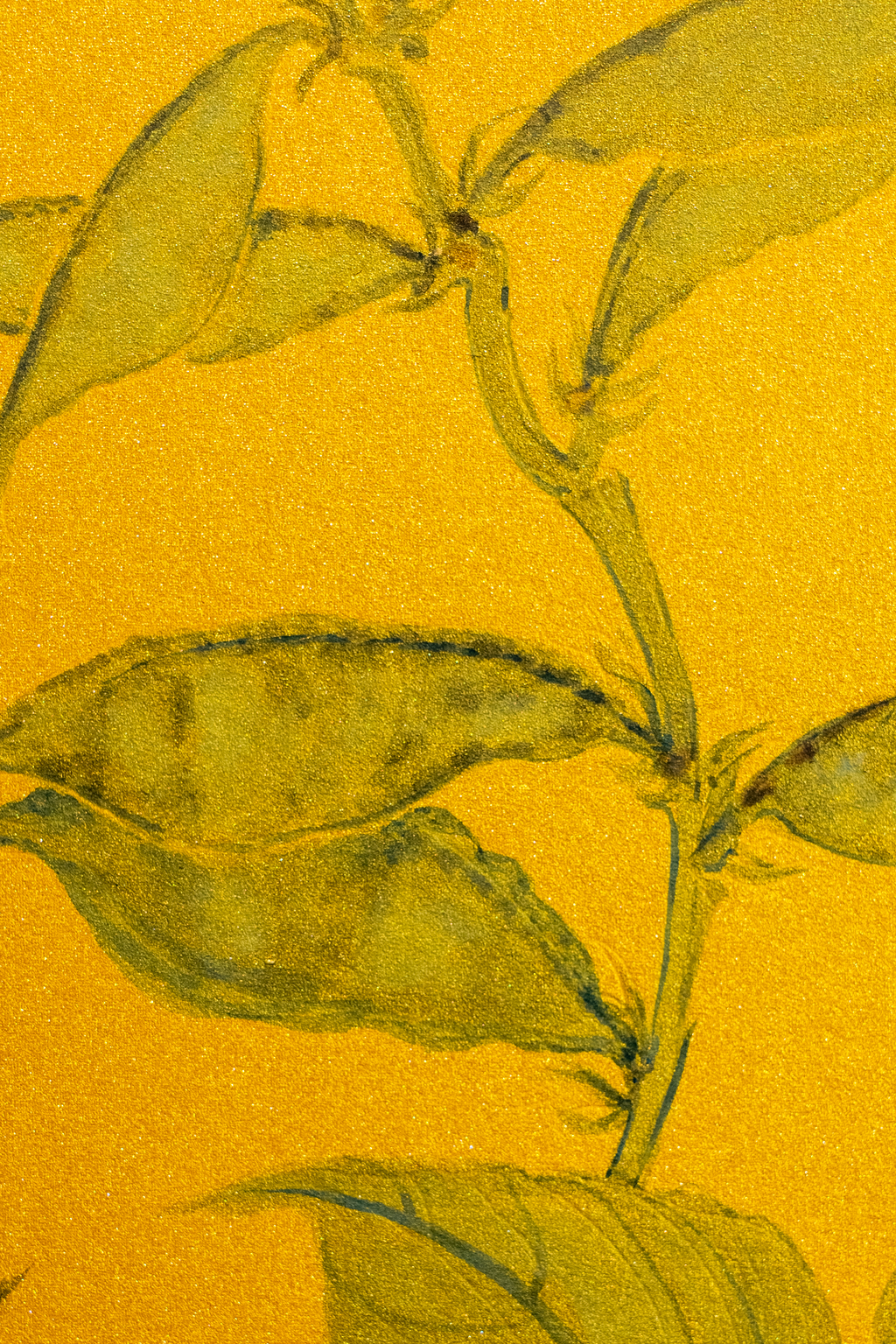 The Weight of Ripening