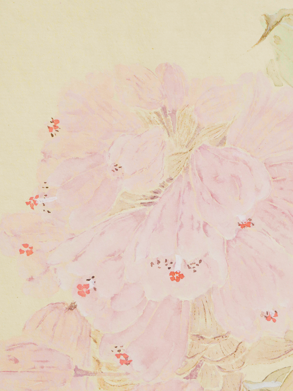 聞香圖 Drawing Near the Fragrance