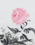 臨摹-清影 Subtle Peony（After Huang Binhong）