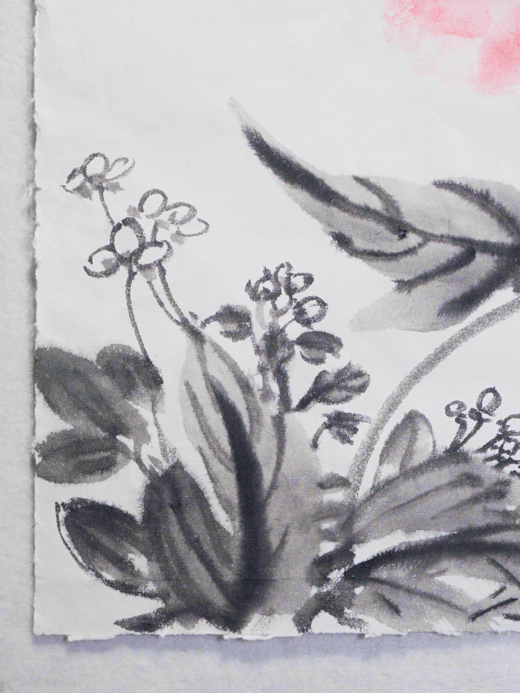 臨摹-清影 Subtle Peony（After Huang Binhong）