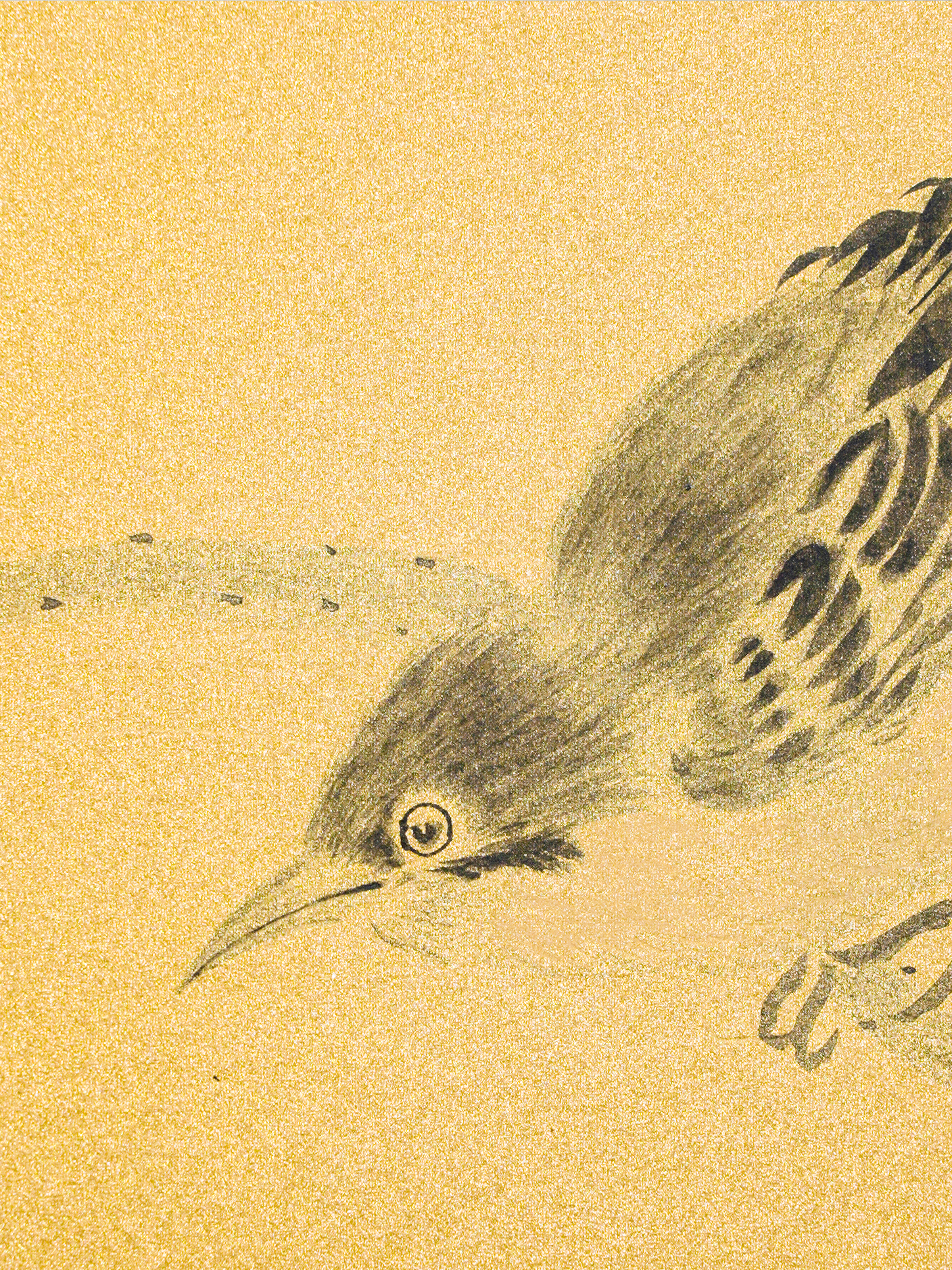 一瞥江湖 A Glimpse of the World