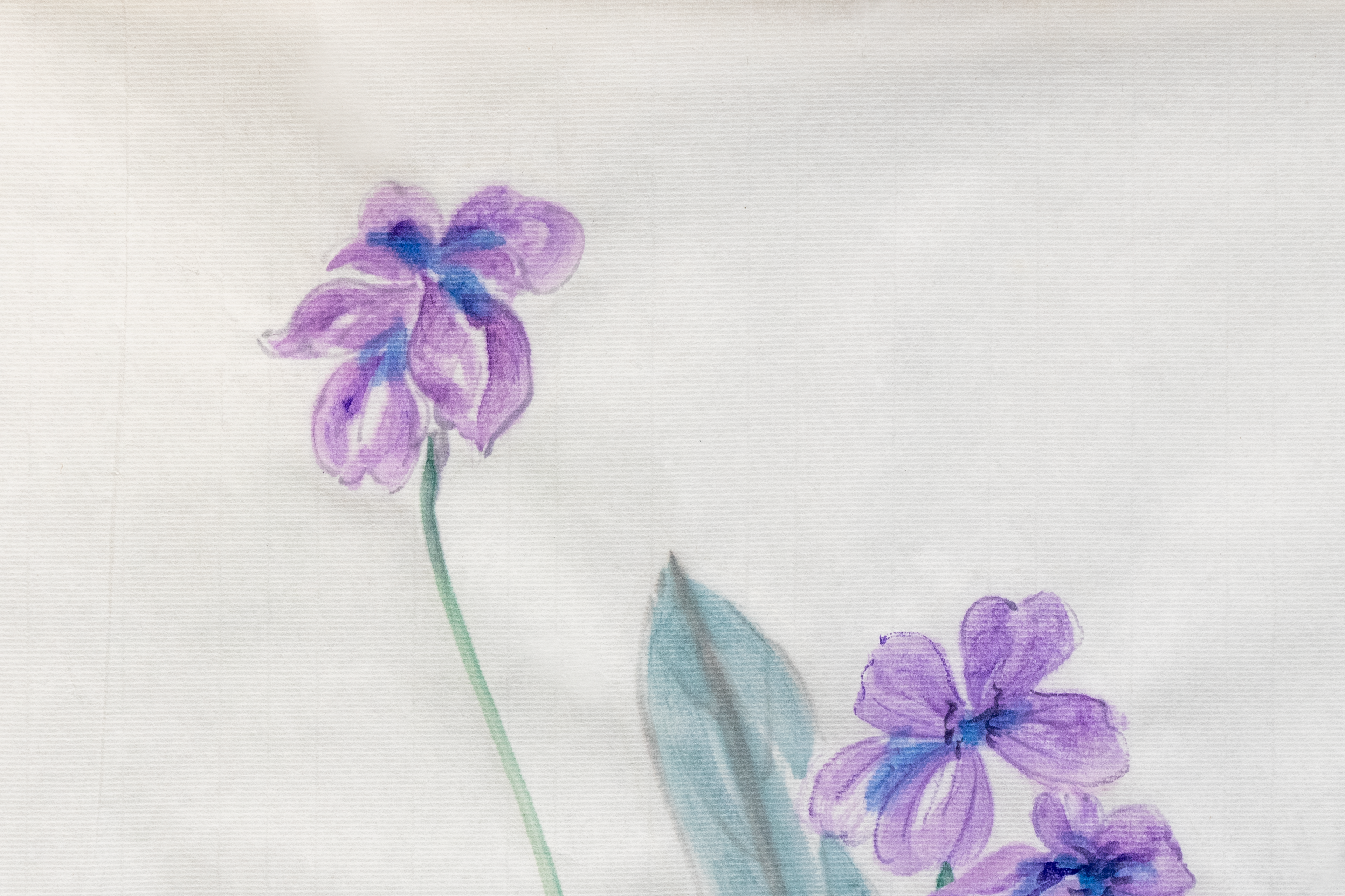 Soft Resistance Violet