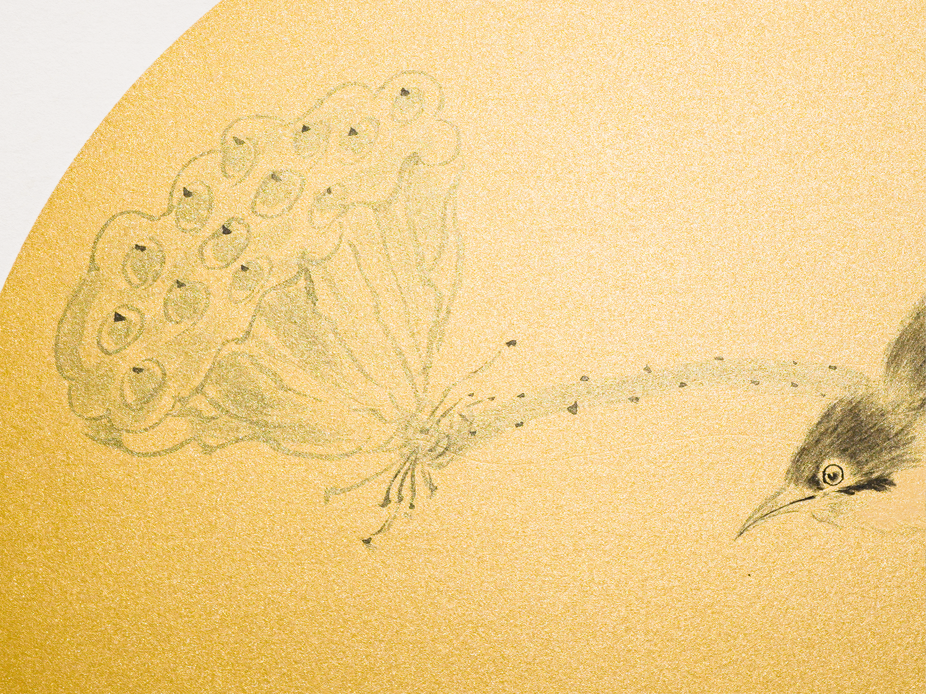 一瞥江湖 A Glimpse of the World