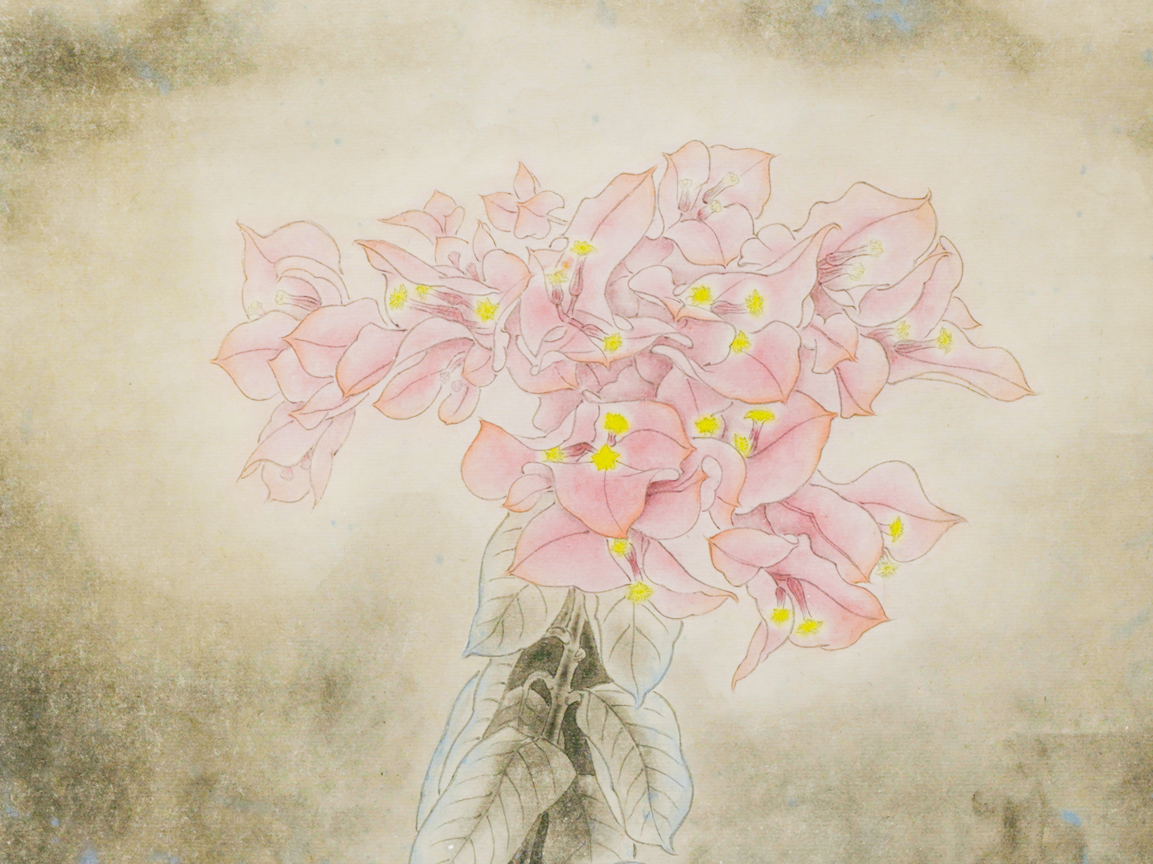 生長 Go to the Sky