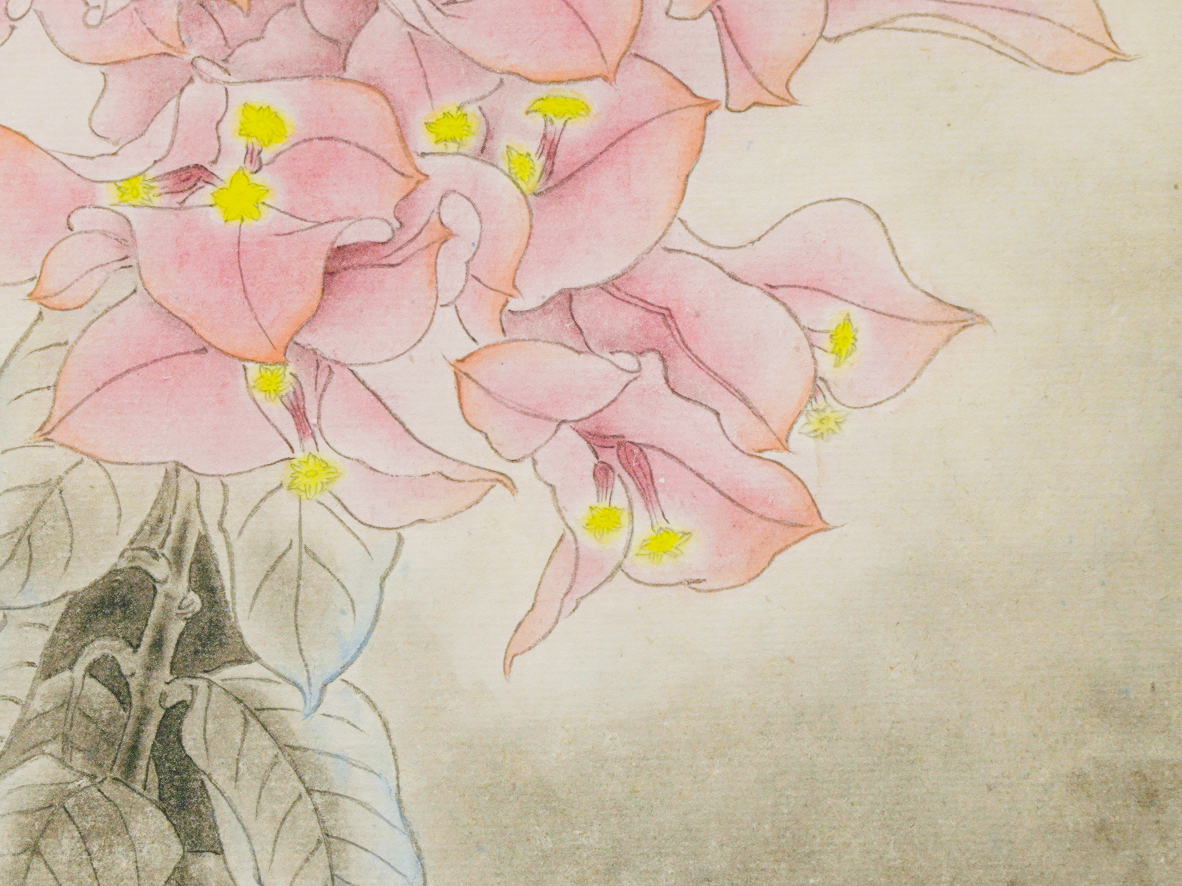 生長 Go to the Sky