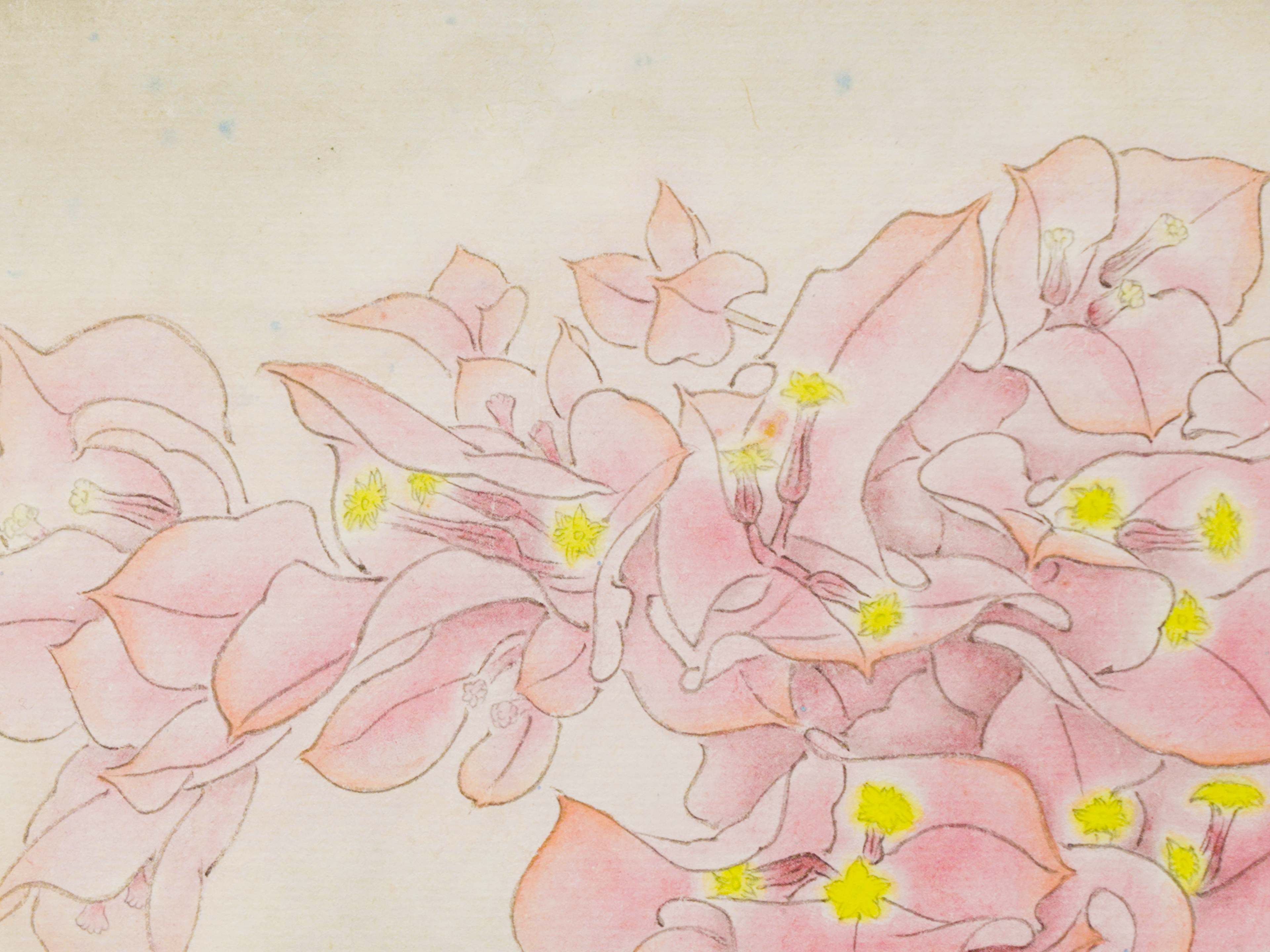 生長 Go to the Sky