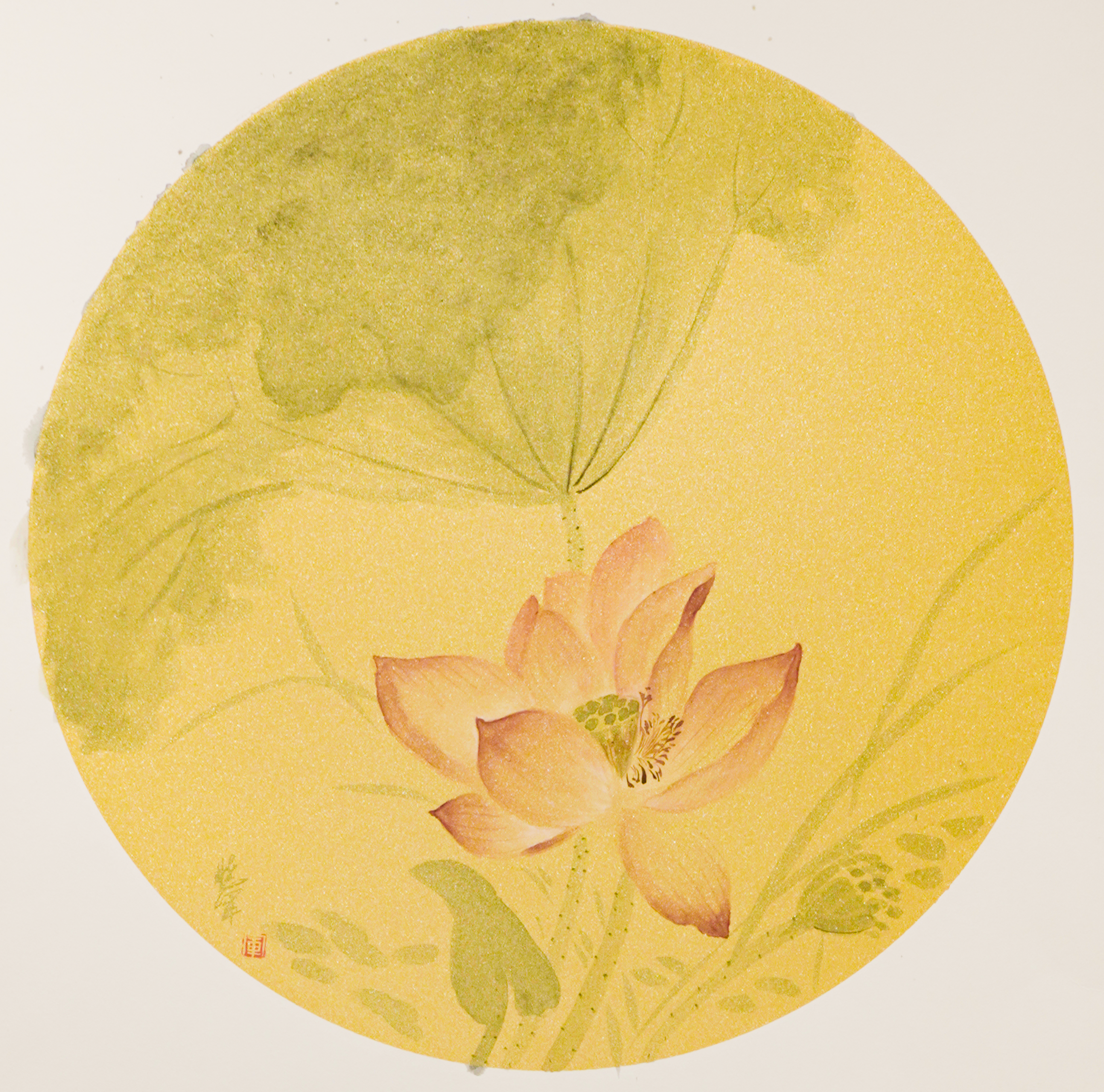 睡蓮圖 Lotus in Repose