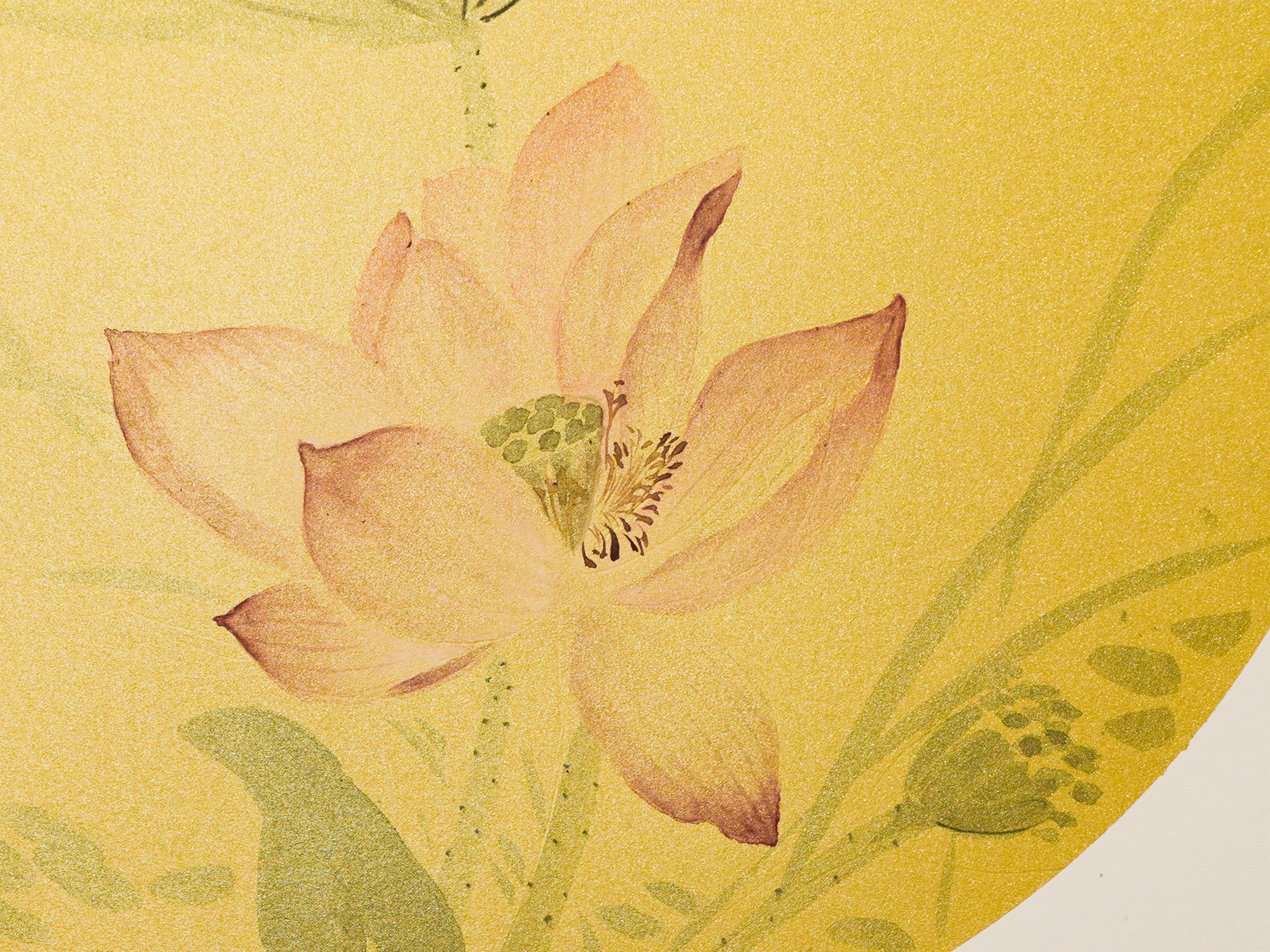 睡蓮圖 Lotus in Repose