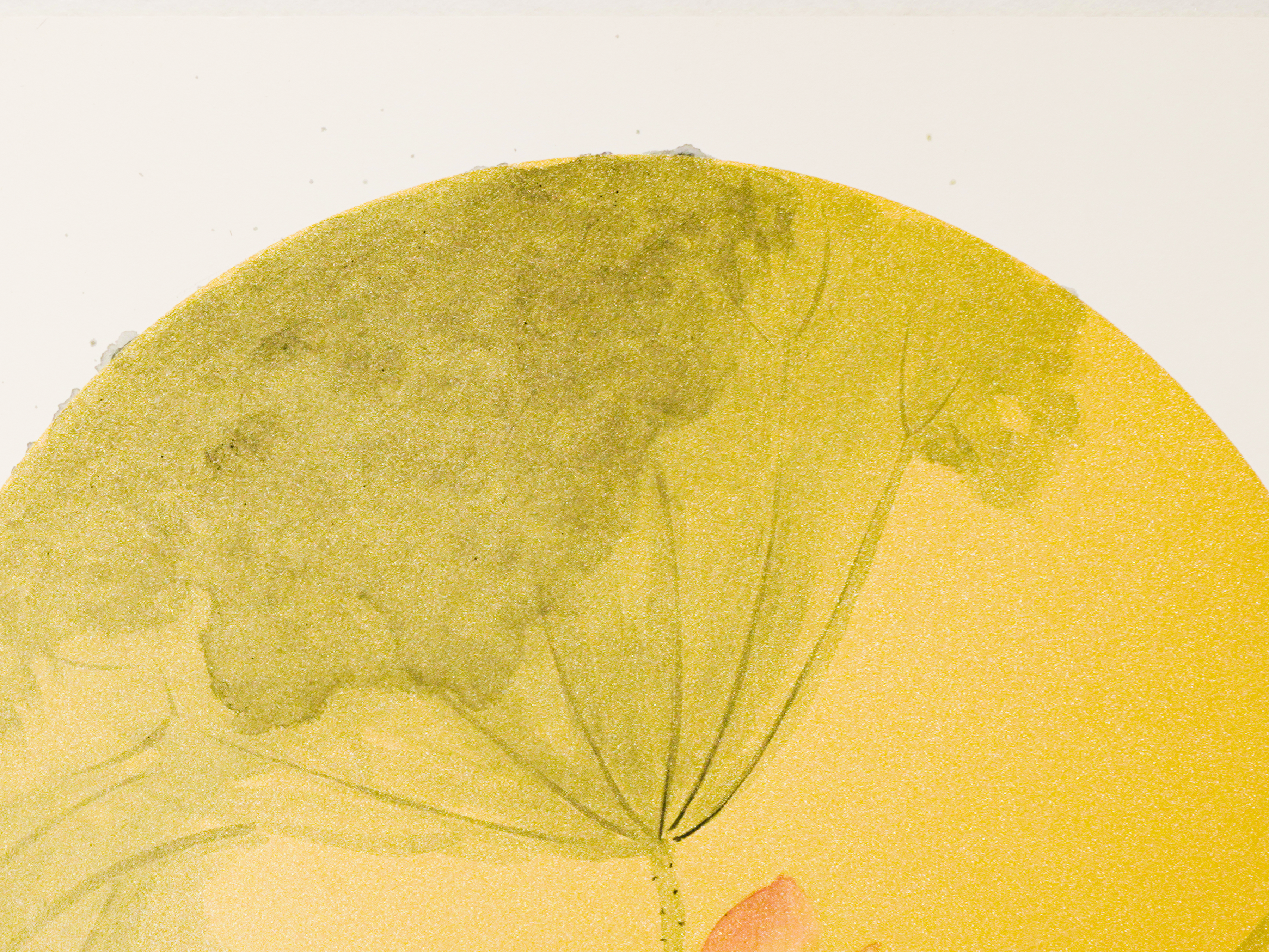 睡蓮圖 Lotus in Repose