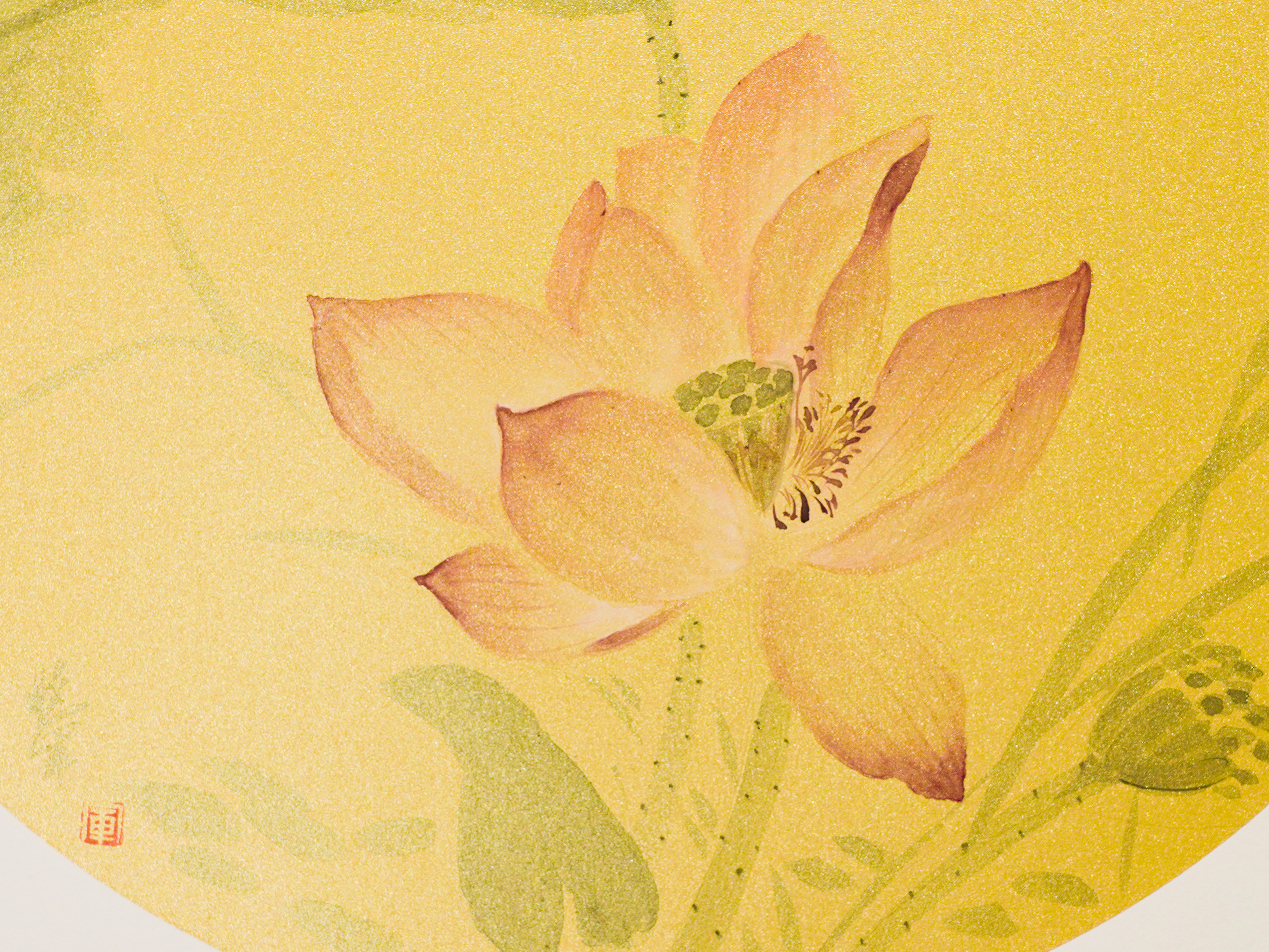 睡蓮圖 Lotus in Repose